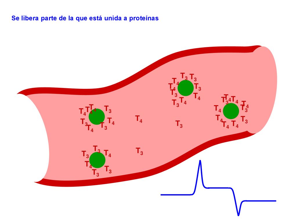 T3 T3 T4 T4 T3 T3 T4 T4 T4 T3 T4 T3 T4 T4 T4 T3 T4 T3 T4 T4 T4 T3 T3