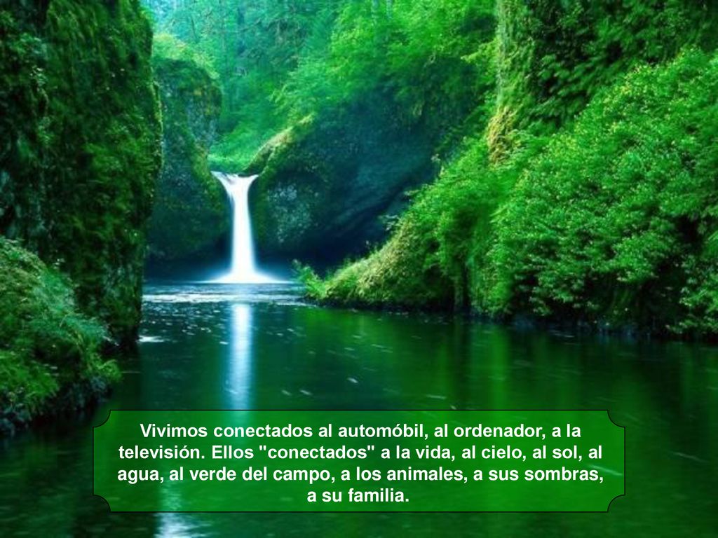 Vivimos conectados al automóbil, al ordenador, a la televisión