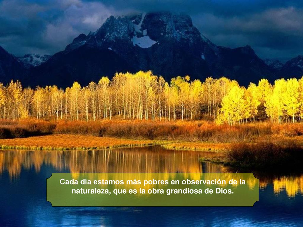 Cada día estamos más pobres en observación de la naturaleza, que es la obra grandiosa de Dios.