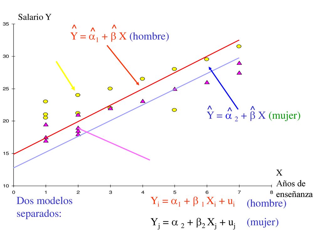 Dos modelos separados: Yi = 1 +  1 Xi + ui (hombre)