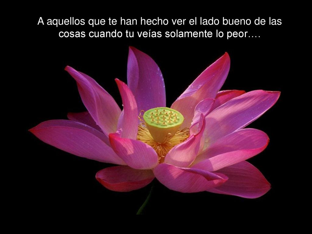 A aquellos que te han hecho ver el lado bueno de las