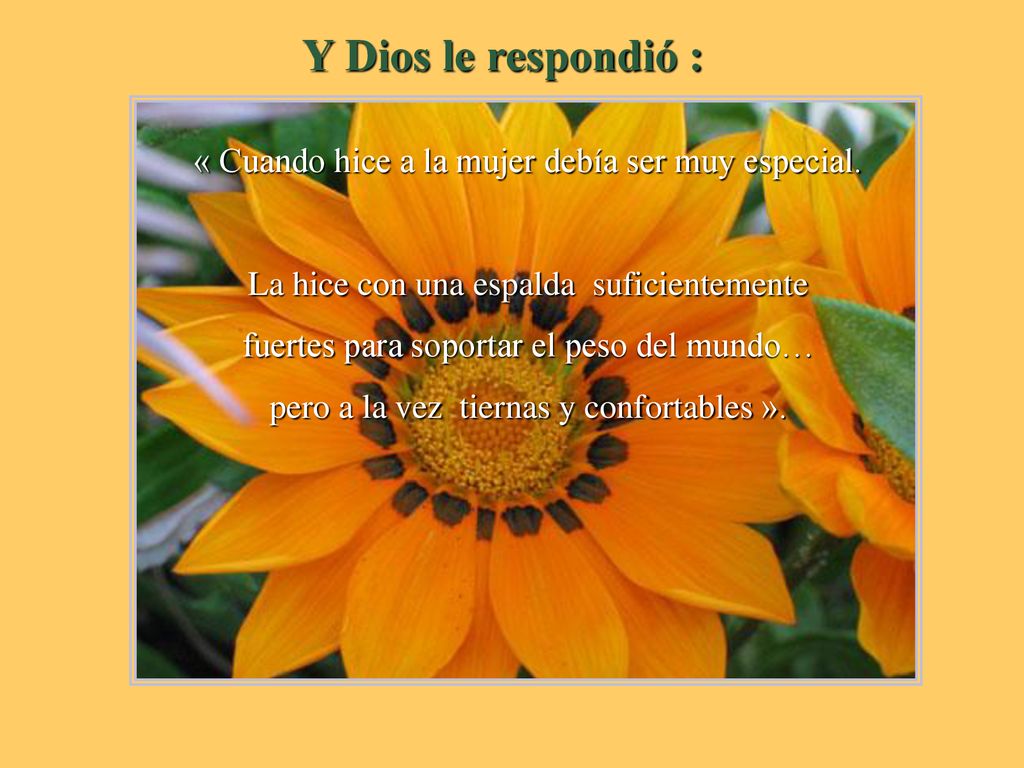 Y Dios le respondió : « Cuando hice a la mujer debía ser muy especial.