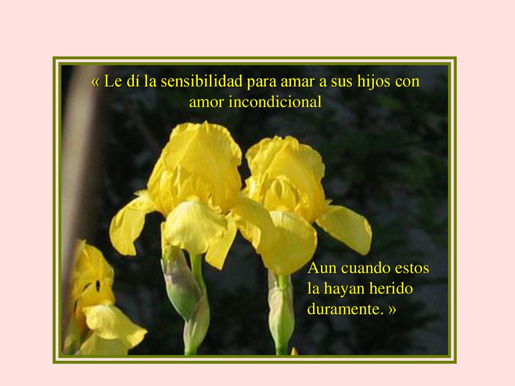 « Le dí la sensibilidad para amar a sus hijos con amor incondicional
