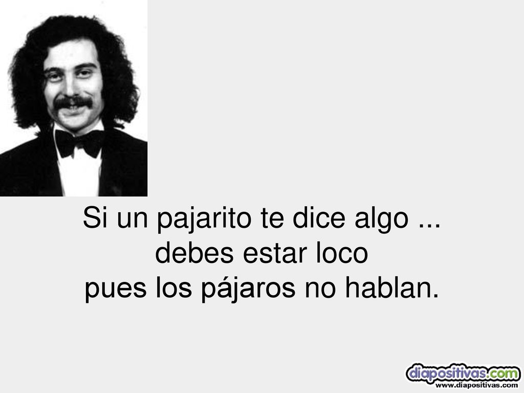 Si un pajarito te dice algo ... debes estar loco