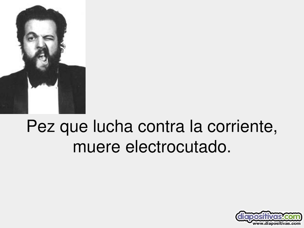 Pez que lucha contra la corriente, muere electrocutado.