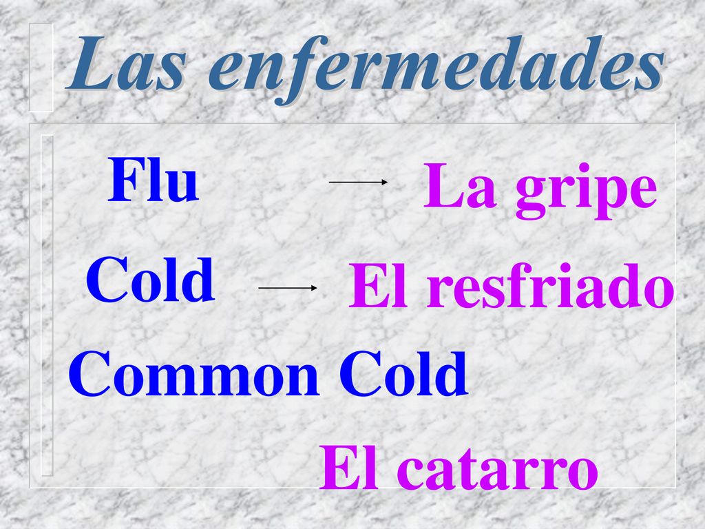 Las enfermedades Flu La gripe Cold El resfriado Common Cold El catarro