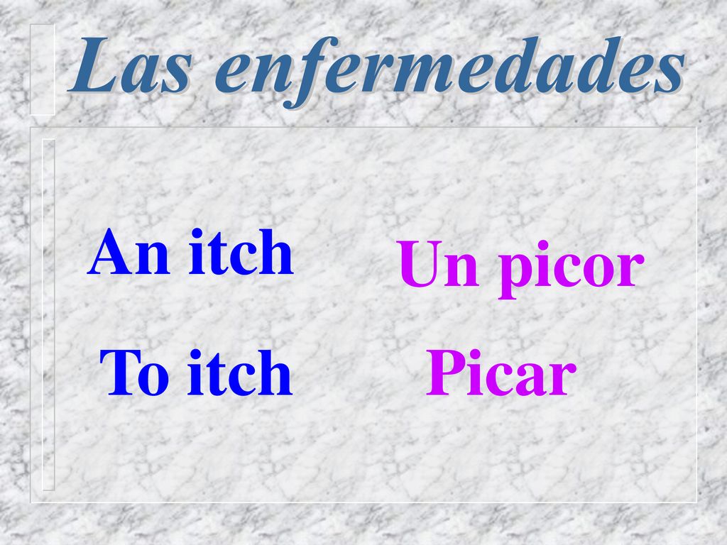 Las enfermedades An itch Un picor To itch Picar