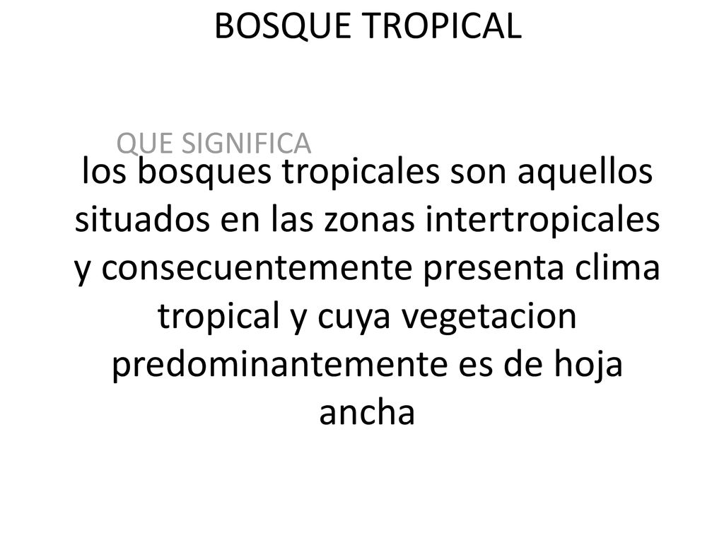 BOSQUE TROPICAL los bosques tropicales son aquellos situados en las zonas intertropicales y consecuentemente presenta clima tropical y cuya vegetacion predominantemente es de hoja ancha l