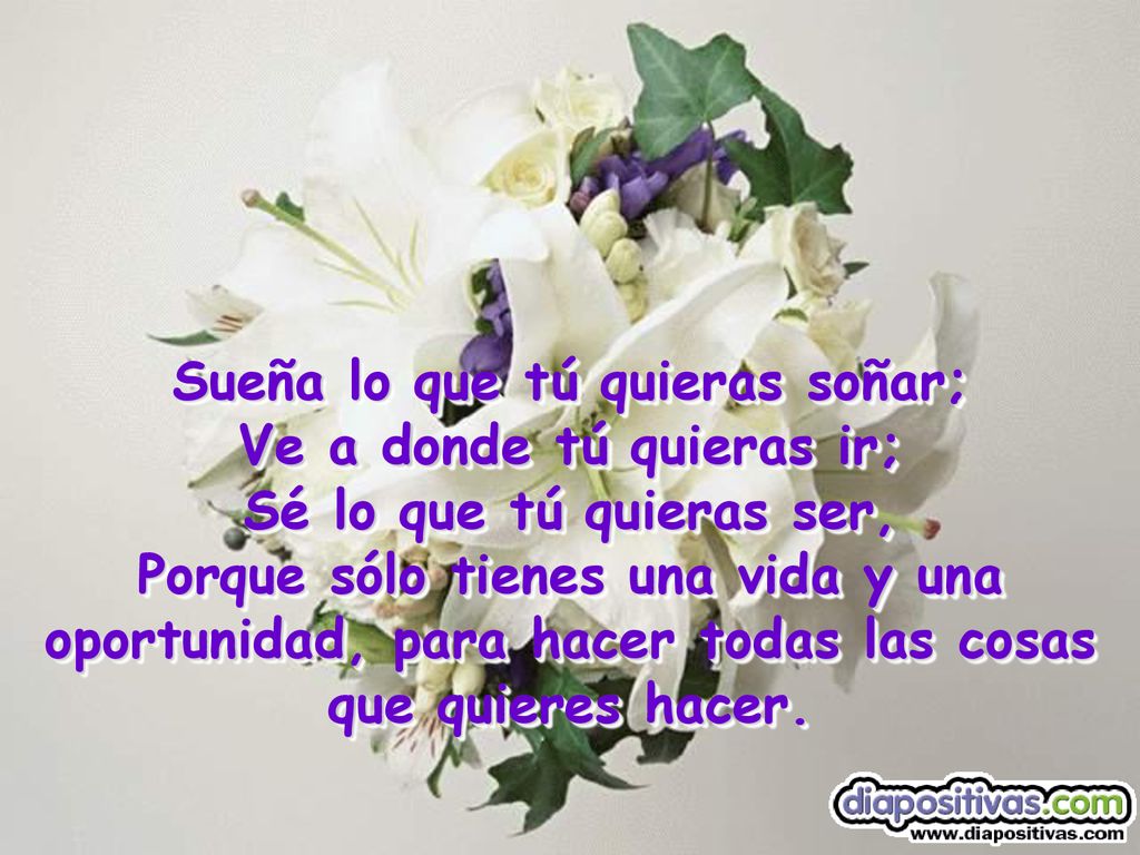 Sueña lo que tú quieras soñar; Ve a donde tú quieras ir;