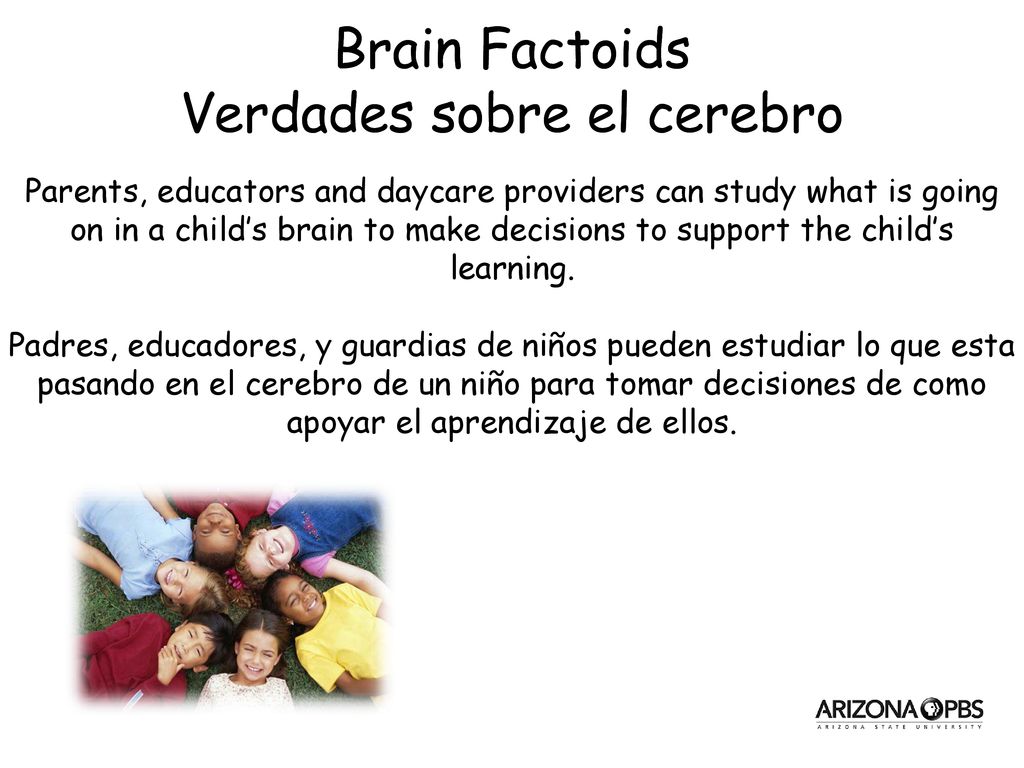 Parents, educators and daycare providers can study what is going on in a child’s brain to make decisions to support the child’s learning.