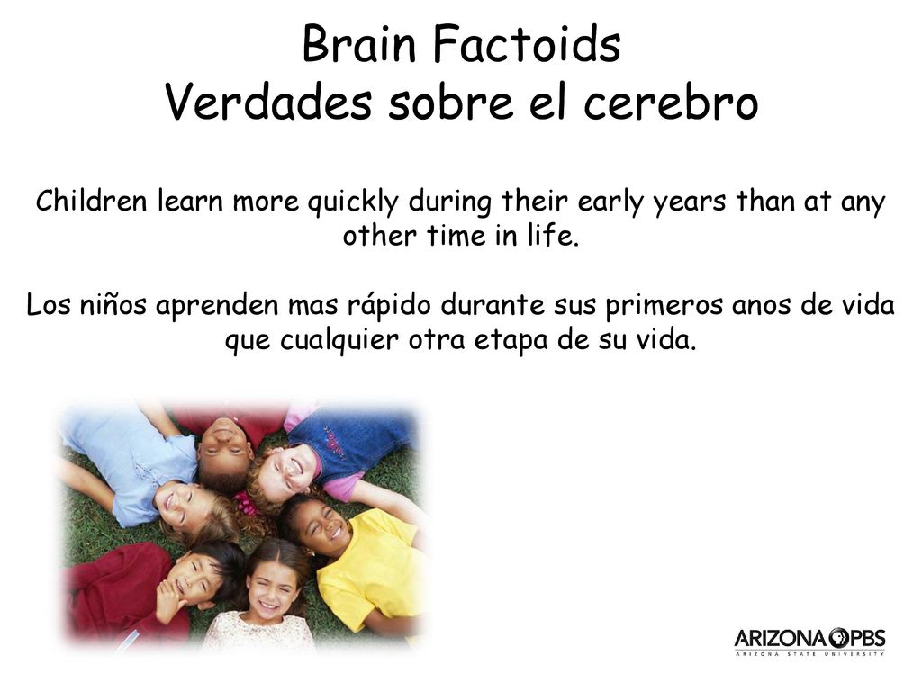 Children learn more quickly during their early years than at any other time in life.