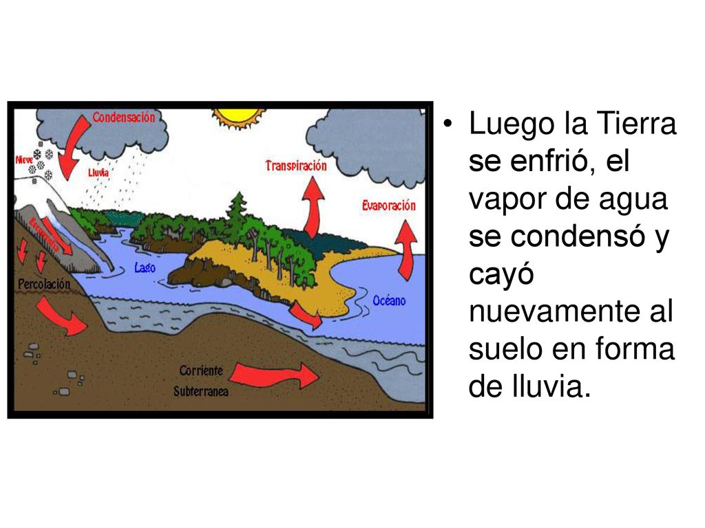 Luego la Tierra se enfrió, el vapor de agua se condensó y cayó nuevamente al suelo en forma de lluvia.
