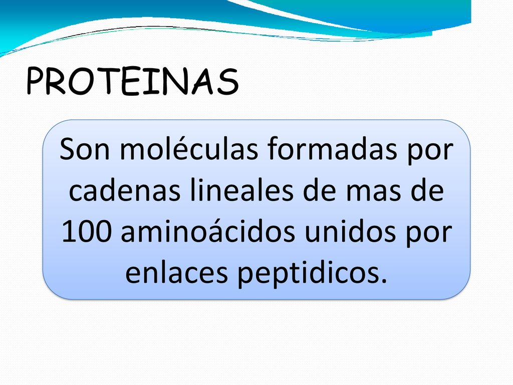 PROTEINAS Son moléculas formadas por cadenas lineales de mas de 100 aminoácidos unidos por enlaces peptidicos.