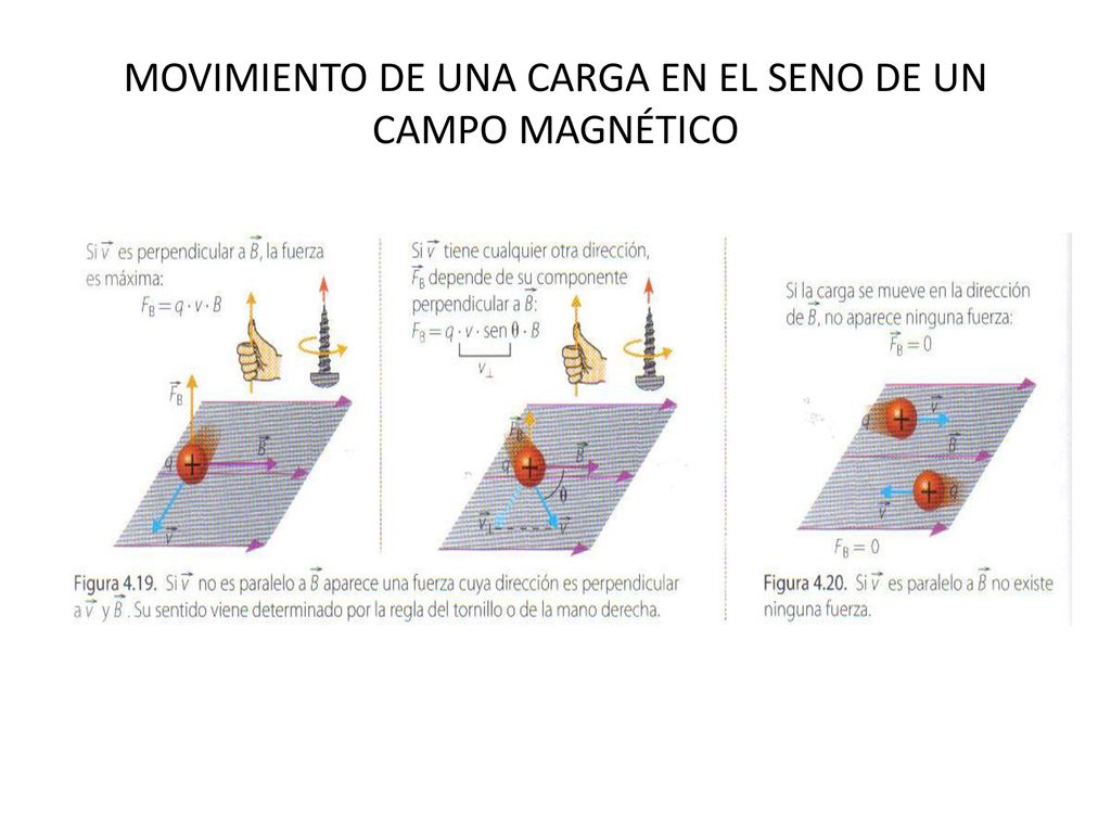 MOVIMIENTO DE UNA CARGA EN EL SENO DE UN CAMPO MAGNÉTICO