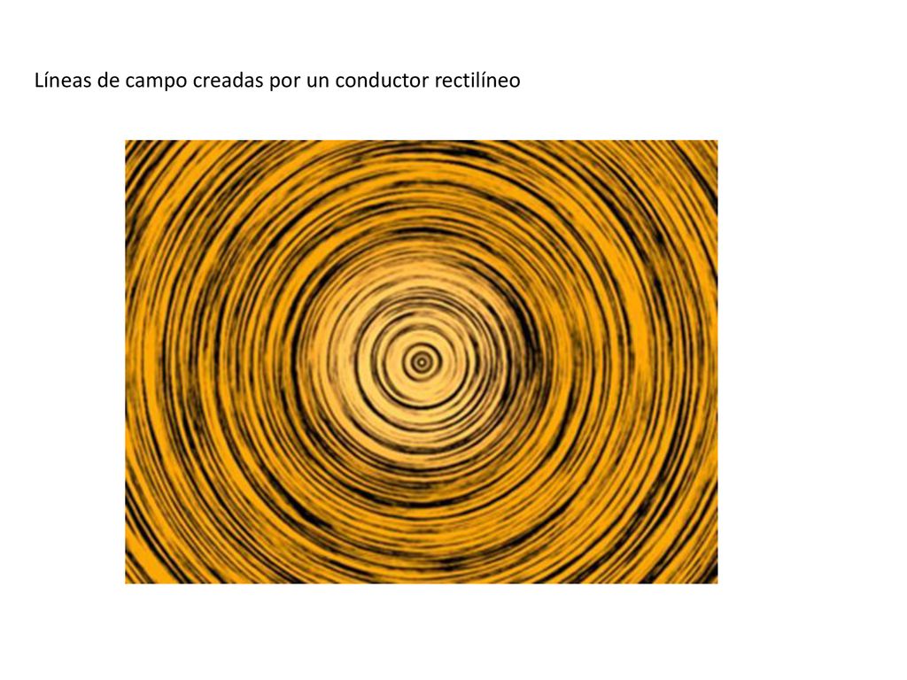 Líneas de campo creadas por un conductor rectilíneo