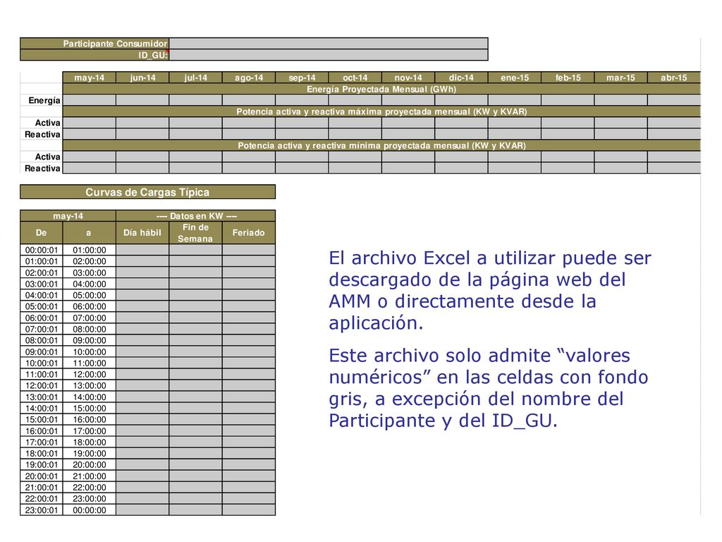 El archivo Excel a utilizar puede ser descargado de la página web del AMM o directamente desde la aplicación.