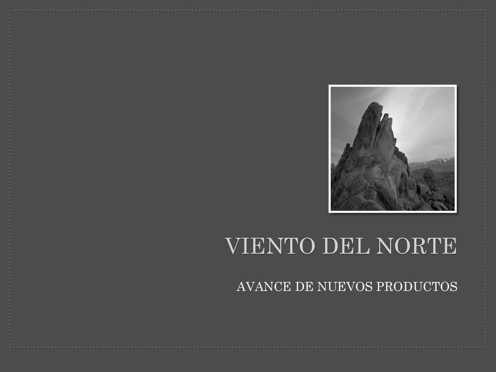 VIENTO DEL NORTE AVANCE DE NUEVOS PRODUCTOS