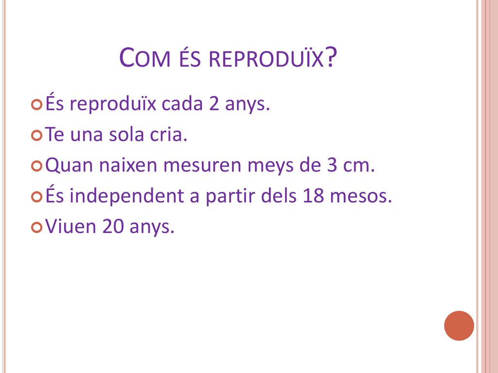Com és reproduïx És reproduïx cada 2 anys. Te una sola cria.