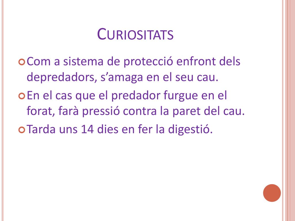 Curiositats Com a sistema de protecció enfront dels depredadors, s’amaga en el seu cau.