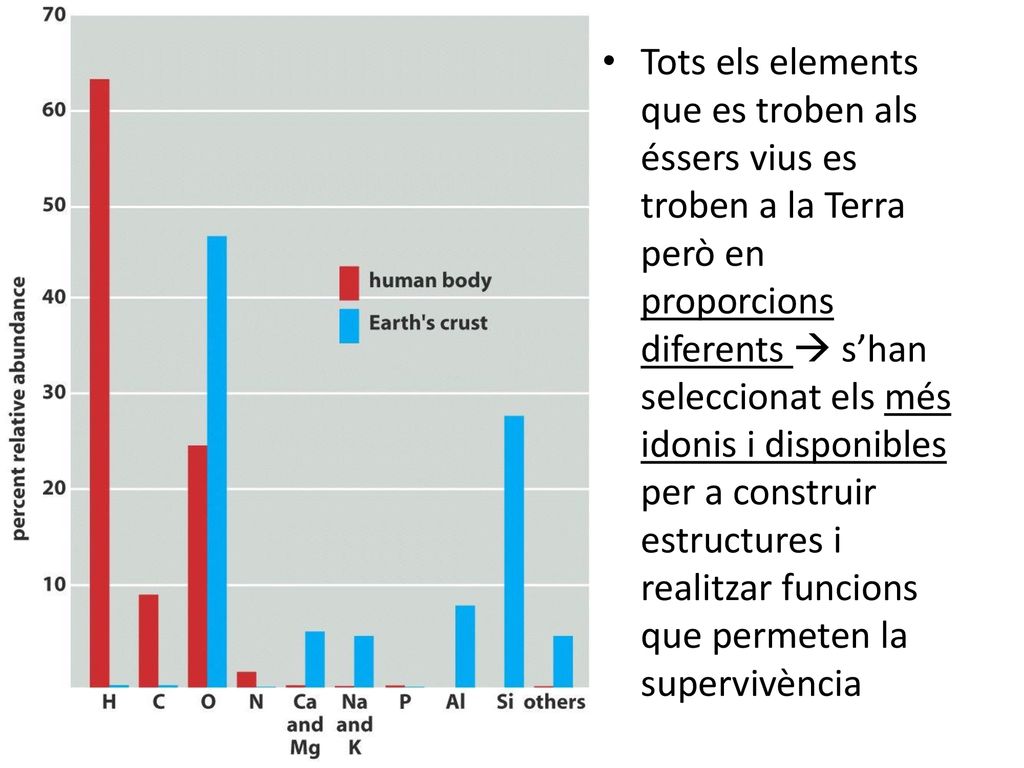 Tots els elements que es troben als éssers vius es troben a la Terra però en proporcions diferents  s’han seleccionat els més idonis i disponibles per a construir estructures i realitzar funcions que permeten la supervivència