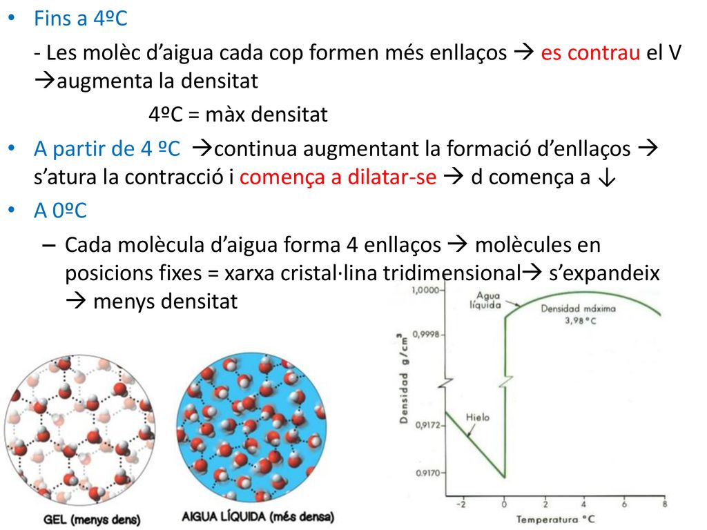Fins a 4ºC - Les molèc d’aigua cada cop formen més enllaços  es contrau el V augmenta la densitat.