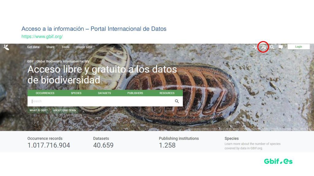 Acceso a la información – Portal Internacional de Datos
