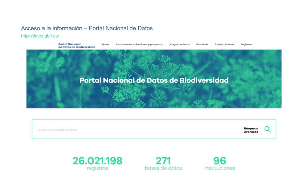 Acceso a la información – Portal Nacional de Datos