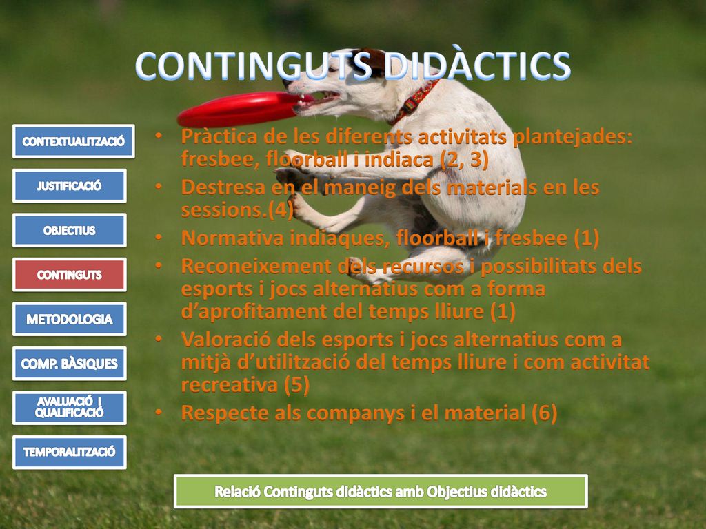 CONTINGUTS DIDÀCTICS CONTEXTUALITZACIÓ. Pràctica de les diferents activitats plantejades: fresbee, floorball i indiaca (2, 3)