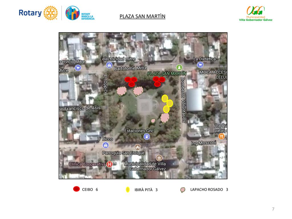 PLAZA SAN MARTÌN CEIBO 6 IBIRÀ PITÀ 3 LAPACHO ROSADO 3