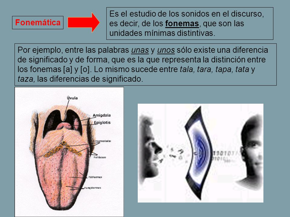 Es el estudio de los sonidos en el discurso, es decir, de los fonemas, que son las unidades mínimas distintivas.