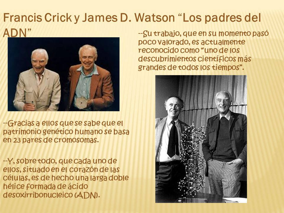 Francis Crick y James D. Watson Los padres del ADN