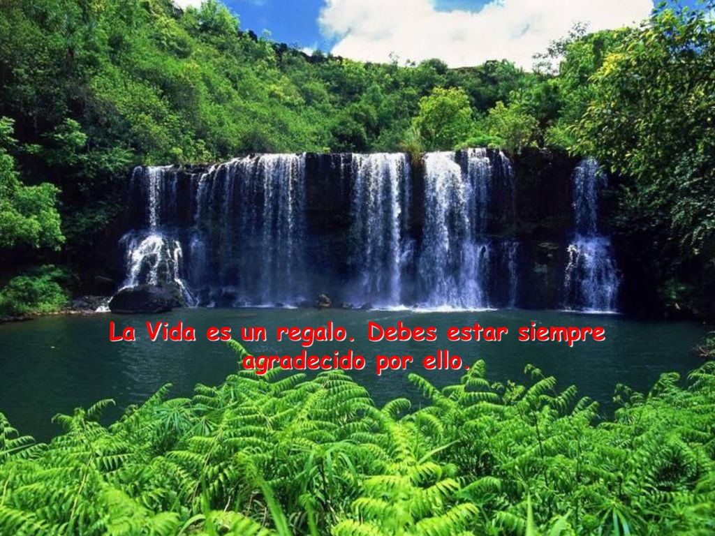La Vida es un regalo. Debes estar siempre agradecido por ello.