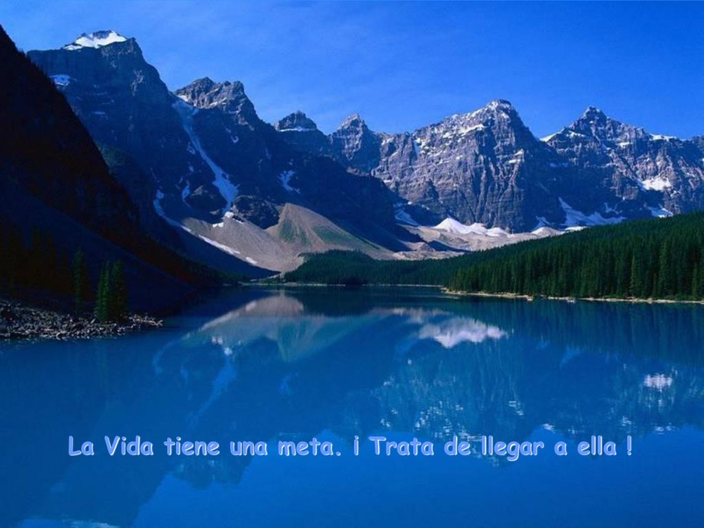 La Vida tiene una meta. ¡ Trata de llegar a ella !