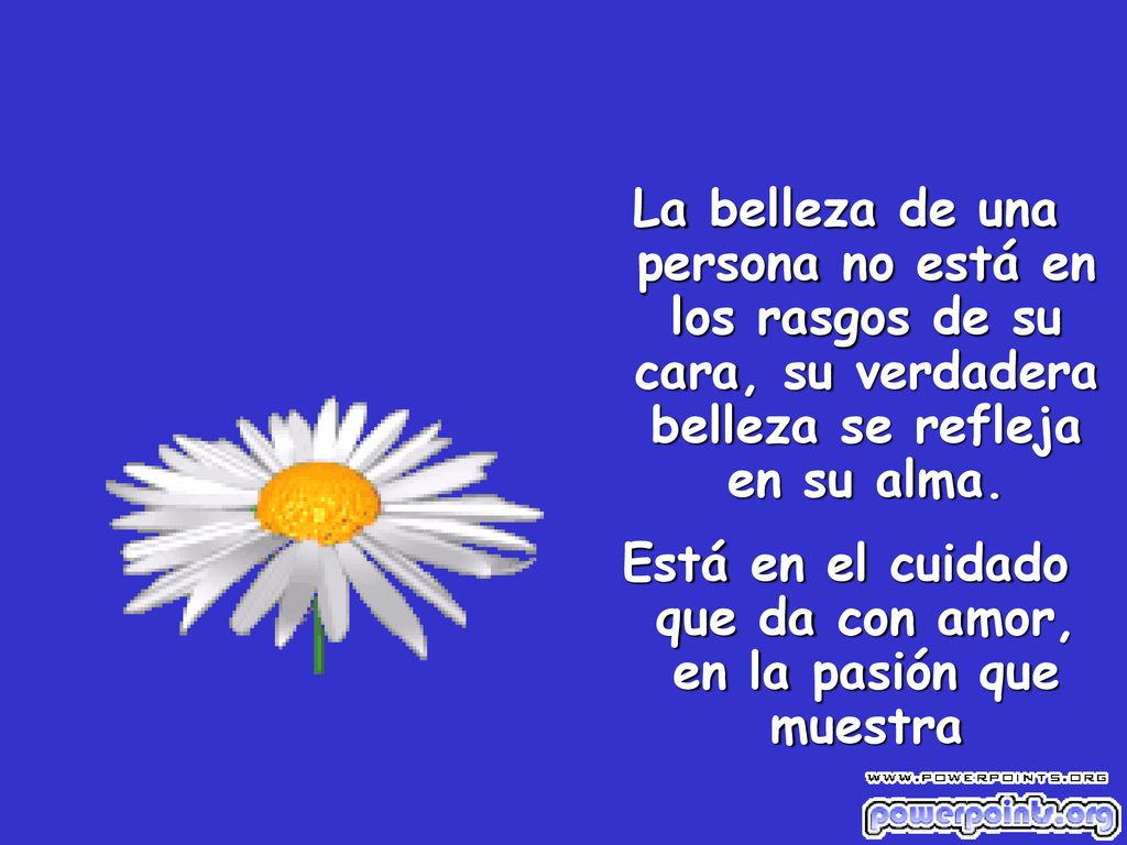 Está en el cuidado que da con amor, en la pasión que muestra