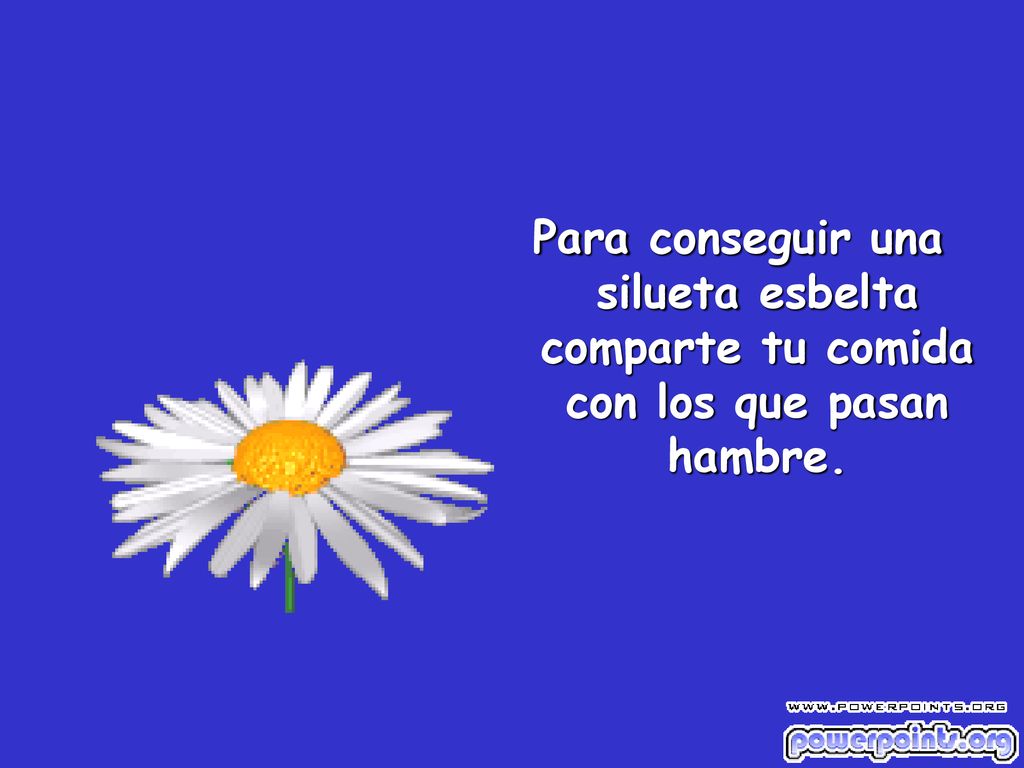 Para conseguir una silueta esbelta comparte tu comida con los que pasan hambre.