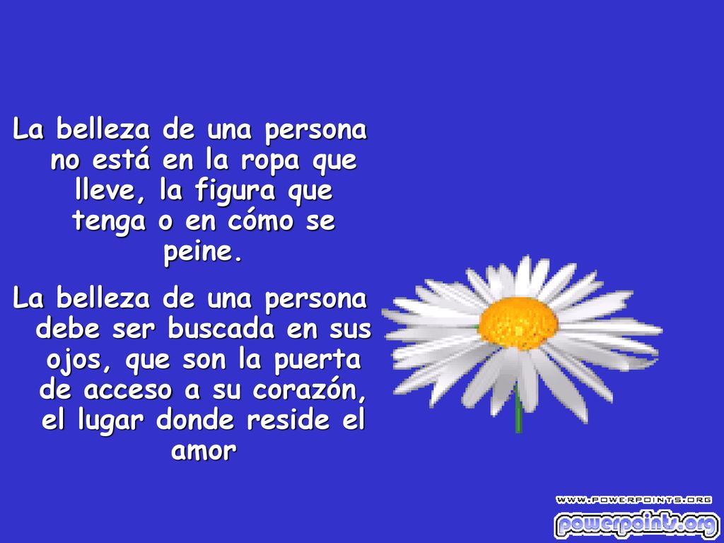 La belleza de una persona no está en la ropa que lleve, la figura que tenga o en cómo se peine.