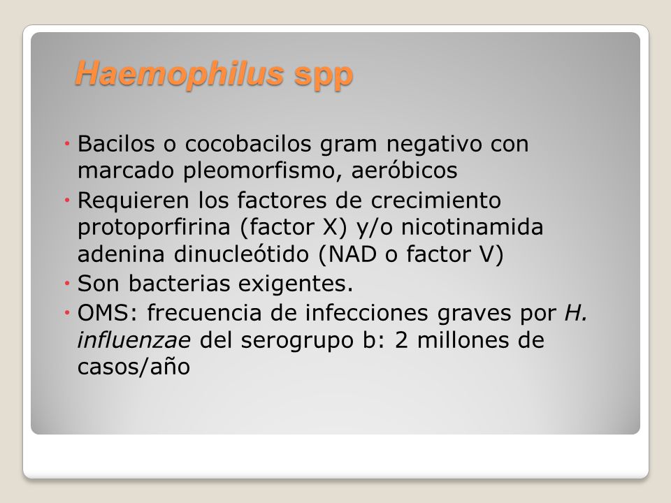 Haemophilus spp Bacilos o cocobacilos gram negativo con marcado pleomorfismo, aeróbicos.