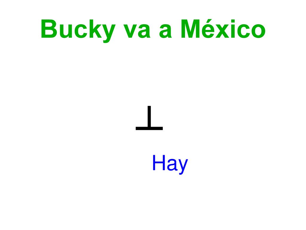 Bucky va a México ..hay There is, there are ┴ Hay