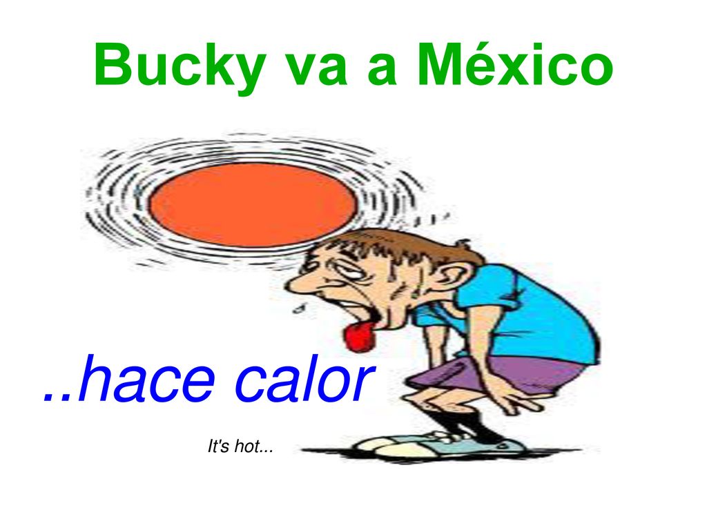 Bucky va a México ..hace calor It s hot...