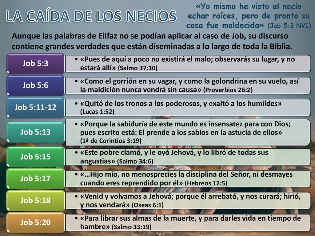 «Yo mismo he visto al necio echar raíces, pero de pronto su casa fue maldecida» (Job 5:3 NVI)
