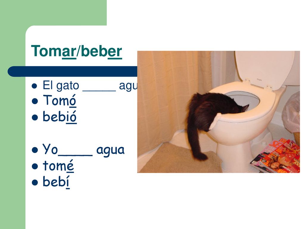 Tomar/beber El gato _____ agua. Tomó bebió Yo____ agua tomé bebí