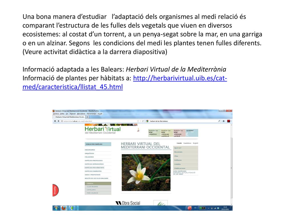Una bona manera d’estudiar l’adaptació dels organismes al medi relació és comparant l’estructura de les fulles dels vegetals que viuen en diversos ecosistemes: al costat d’un torrent, a un penya-segat sobre la mar, en una garriga o en un alzinar. Segons les condicions del medi les plantes tenen fulles diferents.