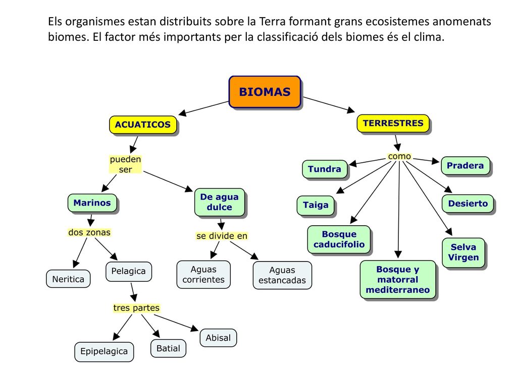 Els organismes estan distribuits sobre la Terra formant grans ecosistemes anomenats biomes.