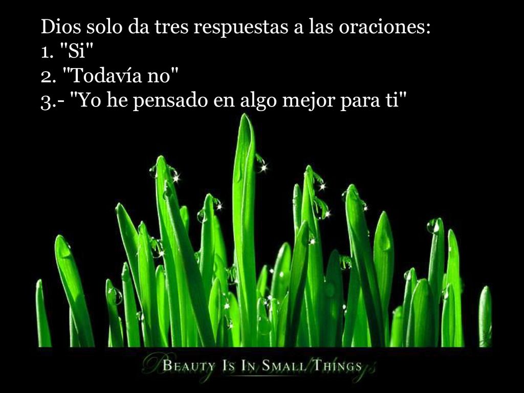 Dios solo da tres respuestas a las oraciones: 1. Si 2.