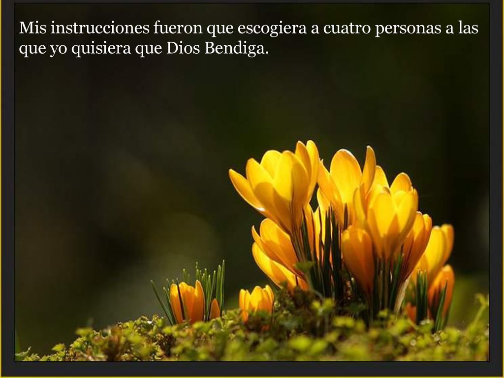 Mis instrucciones fueron que escogiera a cuatro personas a las que yo quisiera que Dios Bendiga.