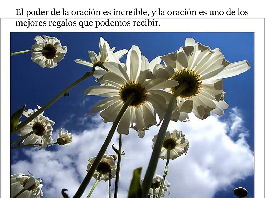 El poder de la oración es increible, y la oración es uno de los mejores regalos que podemos recibir.