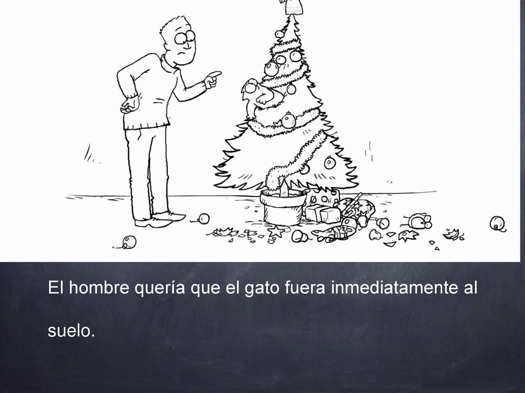 El hombre quería que el gato fuera inmediatamente al suelo.