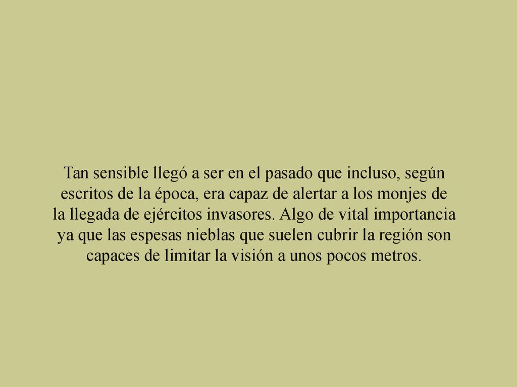 Tan sensible llegó a ser en el pasado que incluso, según escritos de la época, era capaz de alertar a los monjes de la llegada de ejércitos invasores.