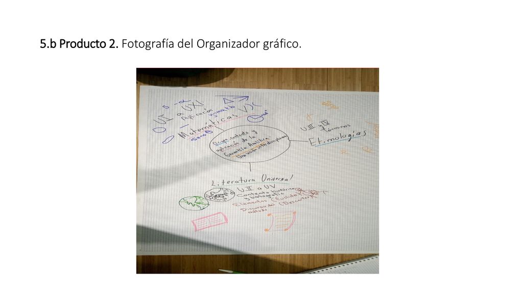 5.b Producto 2. Fotografía del Organizador gráfico.