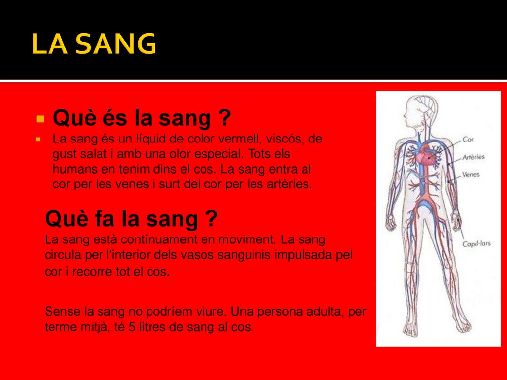 LA SANG Què és la sang Què fa la sang